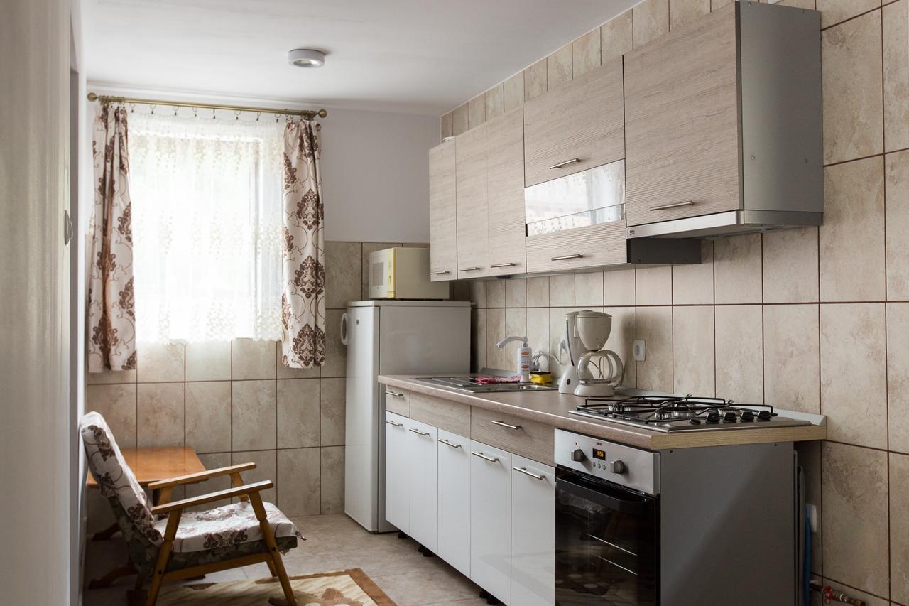 Casa Kis Villa Vişeu de Sus Dış mekan fotoğraf